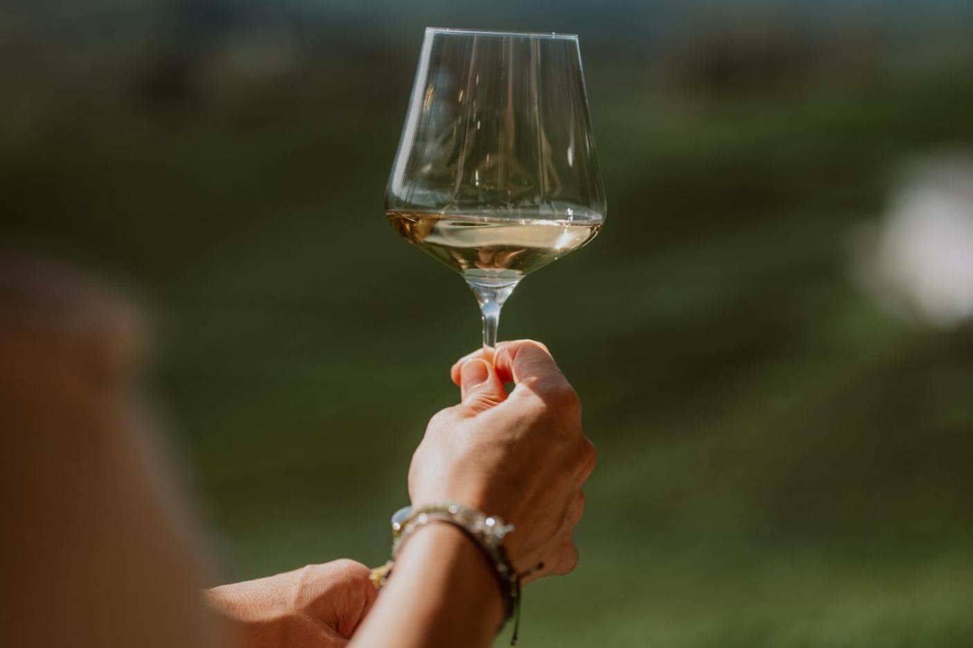 Mahorko Wein Wellness Wasserbueffel Гланц-ан-дер-Вайнштрасе Экстерьер фото